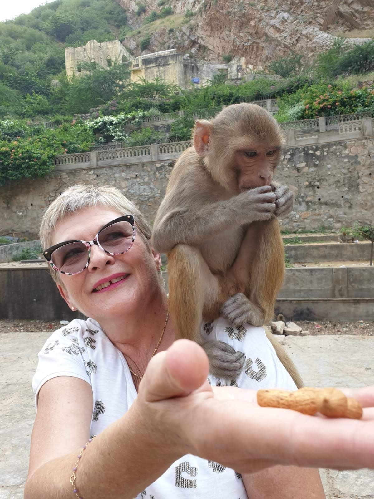 KM Tours And Travels gallery photo 10
